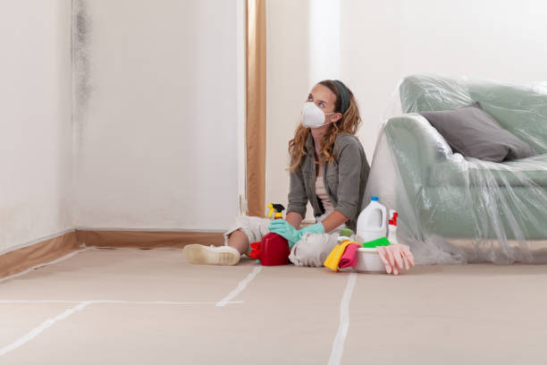 Reliable Mold Testing contractor in Waverly, MN by WQB Mold Removal